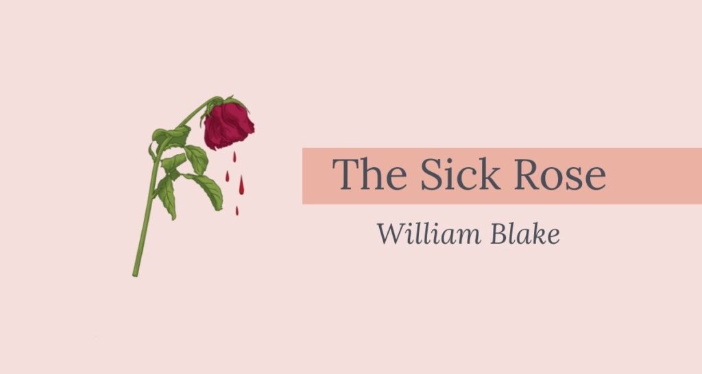 The Sick Rose Poem Bengali Translation