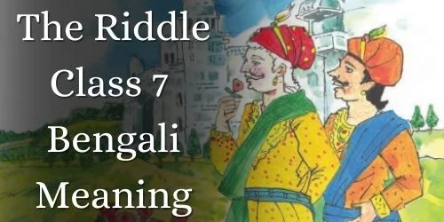 The Riddle Class 7 Bengali Meaning