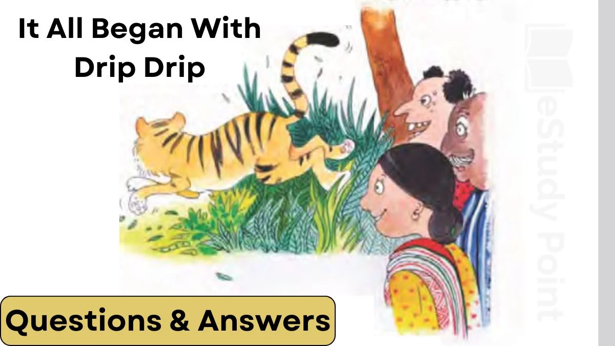 It All Began With Drip Drip Questions and Answers