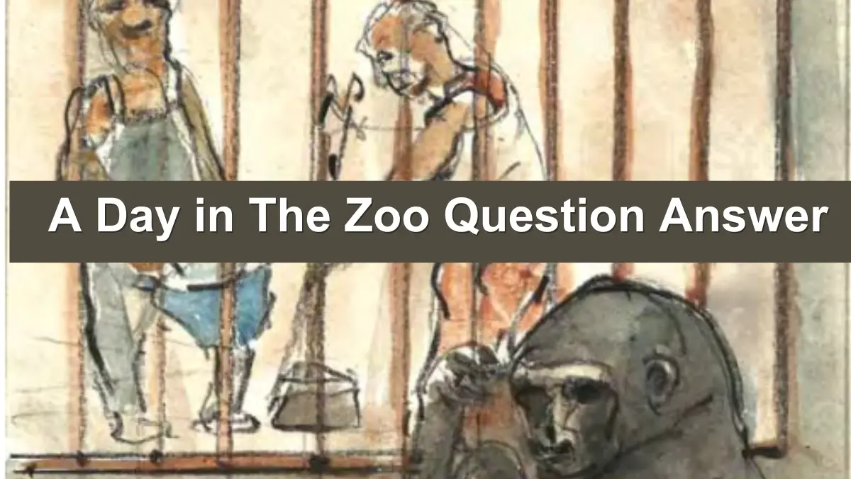 A Day in the Zoo Questions and Answers