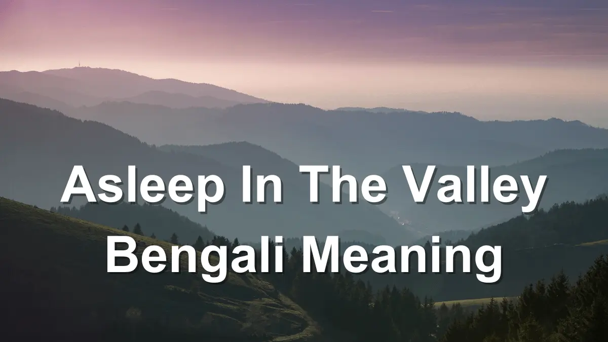 Asleep In The Valley Bengali Meaning