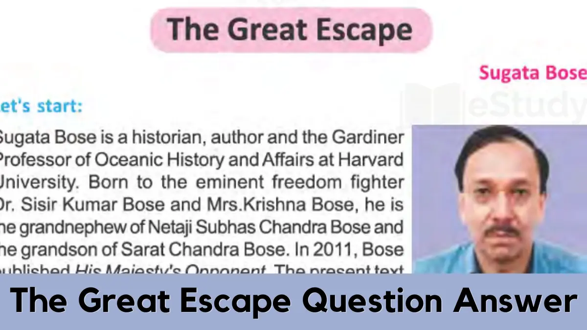 The Great Escape Class 8 Question Answer