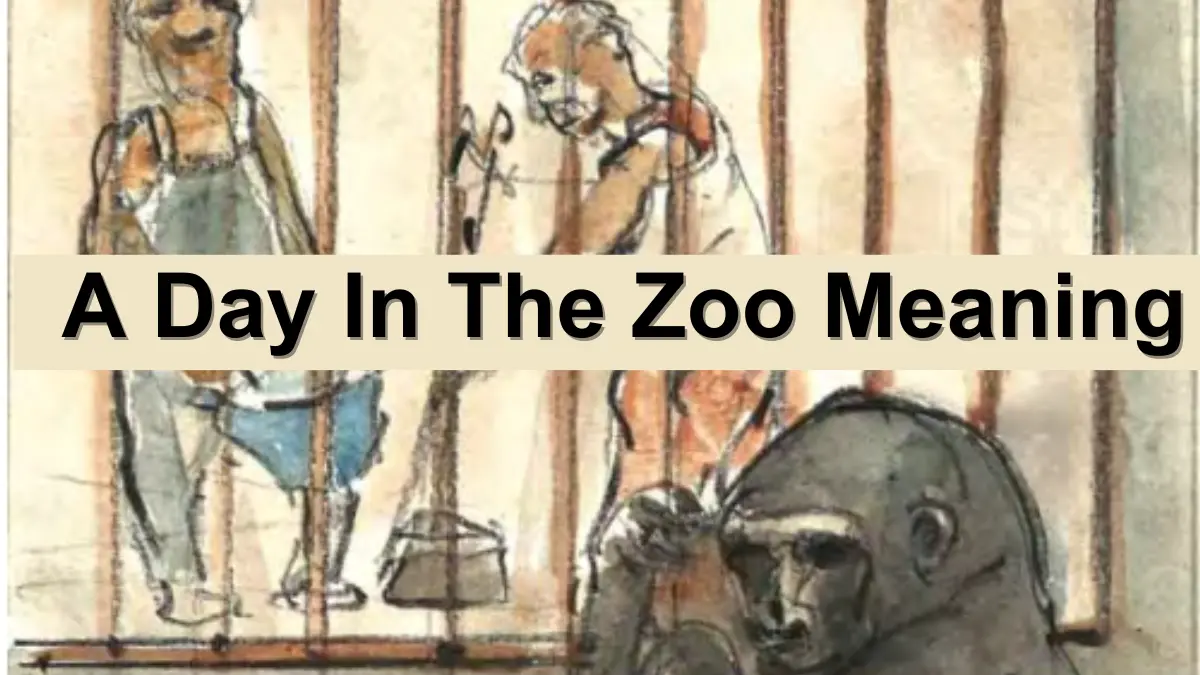 (বঙ্গানুবাদ) A Day In The Zoo Class 9 Bengali Meaning