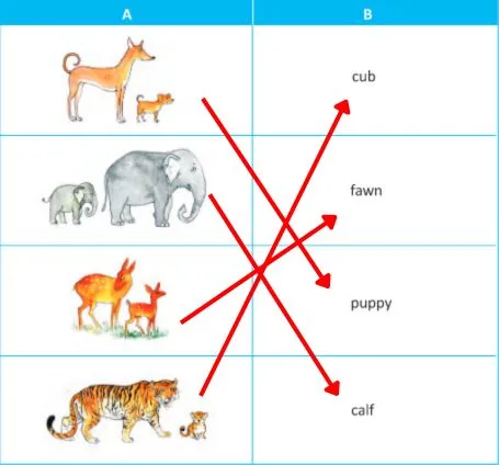 revision lesson class 4