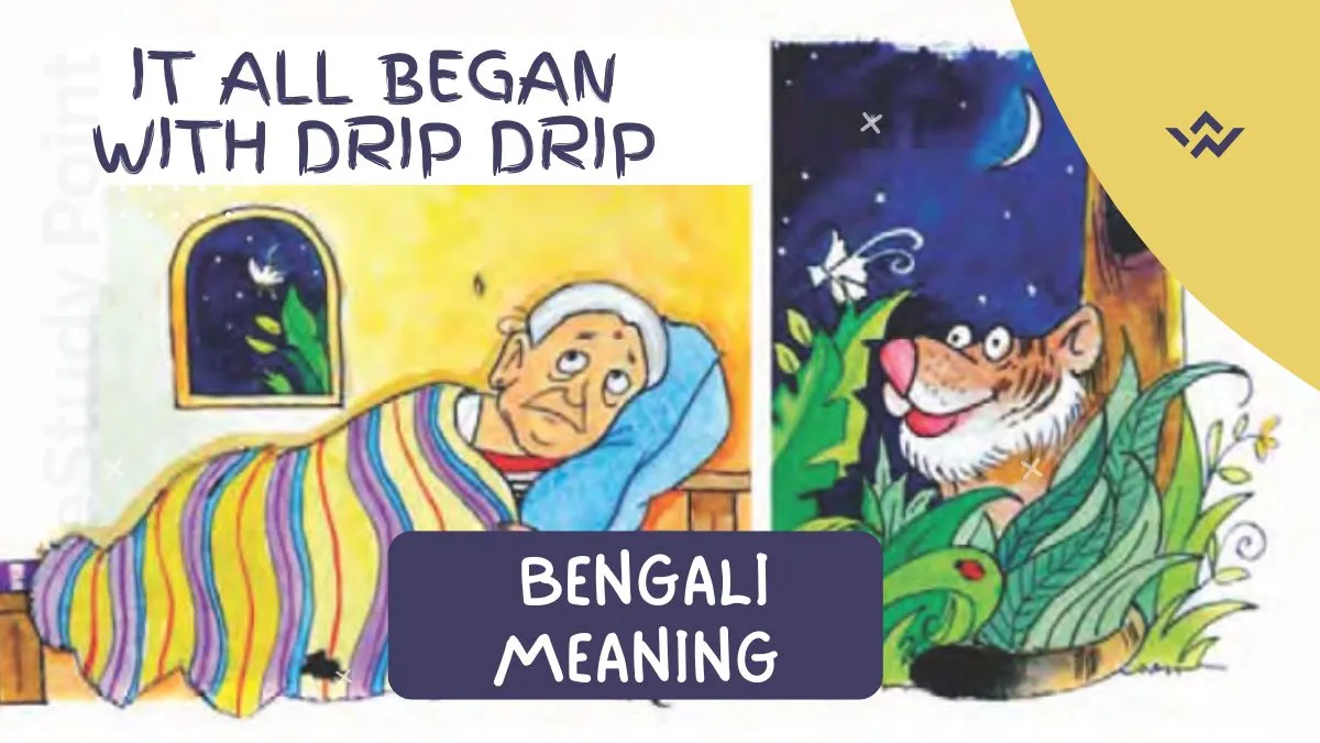 It All Began With Drip Drip Story Bengali Meaning